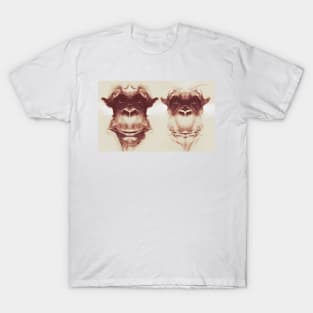 Symmetry T-Shirt